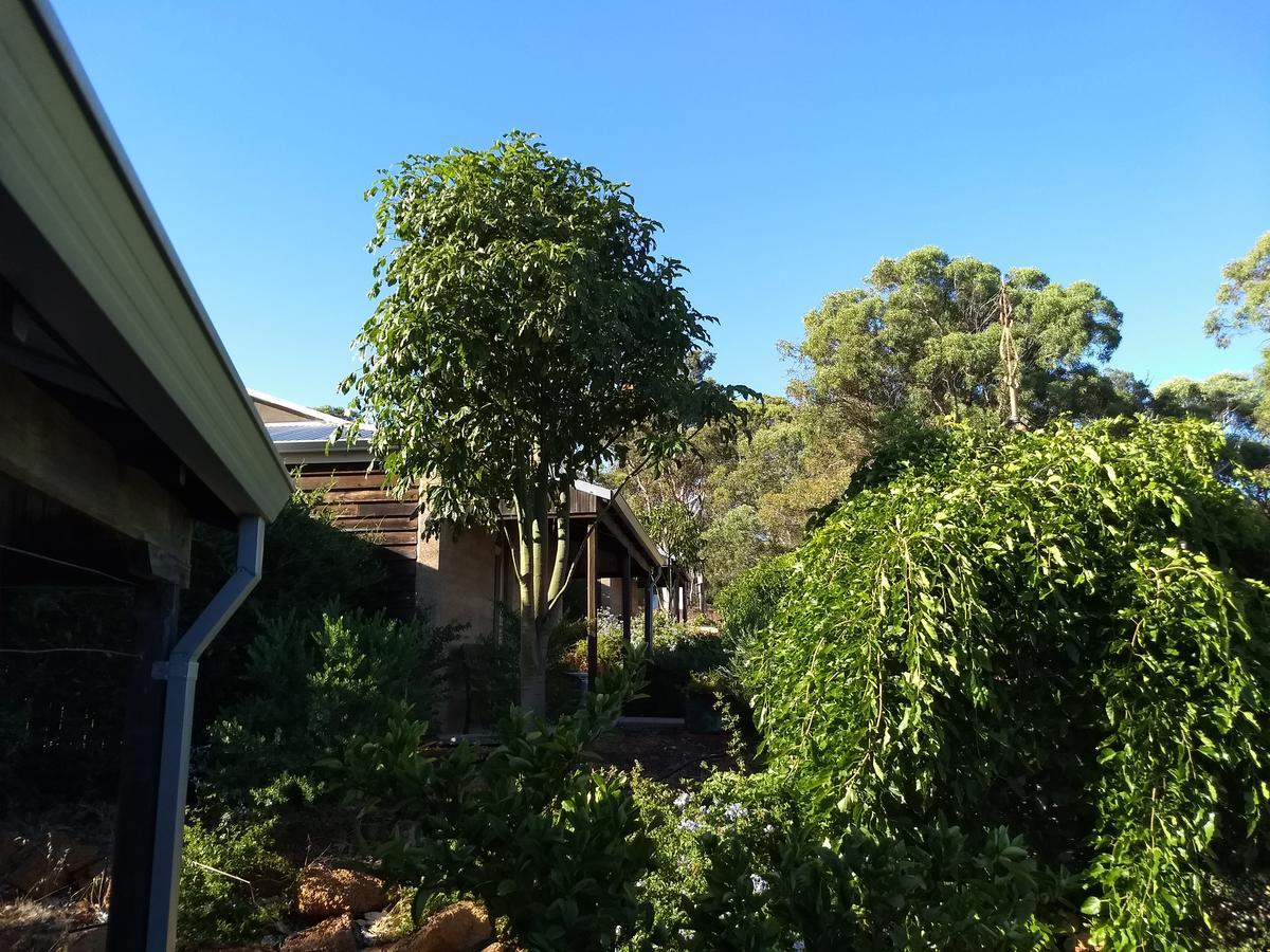 Hotham Ridge Estate Villa Wandering Exterior photo